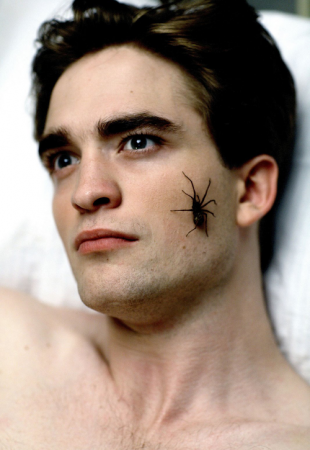 ROBEEERT!!! TEM UMA ARANHA NA SUA CARA!!!!!!!!